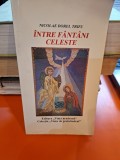 &Icirc;ntre f&acirc;nt&acirc;ni celeste - Nicolae Dorel Trifu