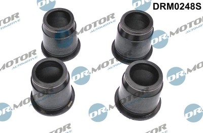 Etansare, Suport Injector 265330 DRM0248S foto