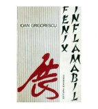 Ioan Grigorescu - Fenix Inflamabil - 106210