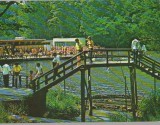 CPIB 15293- CARTE POSTALA - SOVATA. STRANDUL LACUL &quot;ALUNIS&quot;
