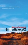 Snowflake, AZ | Marcus Sedgwick, Head Of Zeus