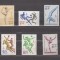 A12 S5 1 - Timbre foarte vechi - fosta URSS - jocurile olimpice Moscova 1980