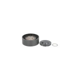 Intinzator curea FIAT CROMA 194 DAYCO APV2513