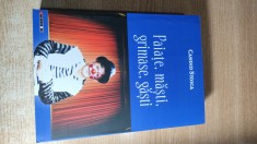 Candid Stoica - Paiate, masti, grimase, gasti - Jurnal, volumul al IV-lea, 2005-2009 (Editura Eikon, 2021)