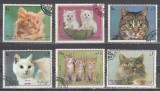 A12 S6 4 - Timbre foarte vechi - Sharjah - pisici de rasa, Fauna, Stampilat