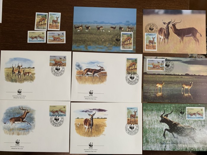 zambia - serie 4 timbre MNH, 4 FDC, 4 maxime, fauna wwf