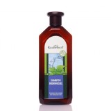 Șampon KRAUTERHOF Brennnessel 500ml