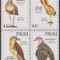 PALAU - 1988 - PASARI - whimbrel