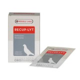 VL OROPHARMA RECUP-LYT 240G (12PLX20G), Versele Laga