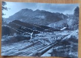 2 fotografii scrise olograf pe verso de pictorul Marius Bunescu, adresate criticului de arta Petre Oprea, una datata 1969; Plutasi pe Bistrita