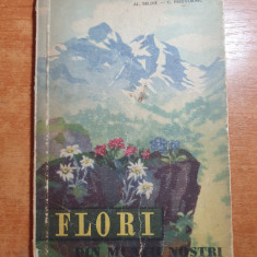 flori din muntii nostri - 24 de planse in culori - din anul 1959