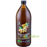 Suc de Ghimbir si Curcuma Ecologic/BIo 1L