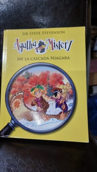 Jaf la Cascada Niagara - Sir Steve Stevenson