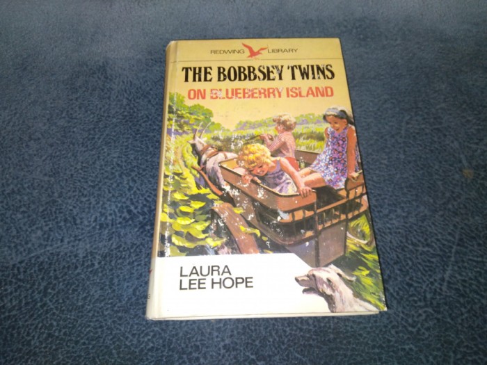LAURA LEE HOPE - ON BLUEBERRY ISLAND