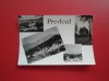 CARTE POSTALA - RPR - PREDEAL, Circulata, Fotografie