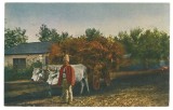 4803 - ETHNIC, Country Life, Romania - old postcard - used - 1923
