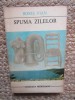 BORIS VIAN - SPUMA ZILELOR COLECTIA MERIDIANE