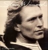 Vinil Steve Winwood &lrm;&ndash; Chronicles ' (VG+), Rock