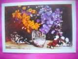 HOPCT 11644 FLORI -STEFAN LUCHIAN -CP PICTURA - ROMANIA-NECIRCULATA