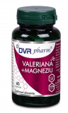 VALERIANA+MAGNEZIU 60CPS, DVR Pharm