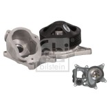 Febi Bilstein Pompă de apă, răcire motor