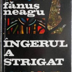 Ingerul a strigat – Fanus Neagu