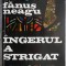 Ingerul a strigat &ndash; Fanus Neagu