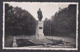 Carte Postala - Romania Pitesti Arges - Statuia S. Manolescu
