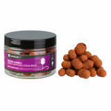 Boilies Dumbel wafter Spicy Birdfood pescuit la crap, Caperlan