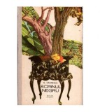 George Calinescu - Scrinul negru - 111001