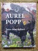 Dumitru Pacuraru - Aurel Popp. Intre doua culturi
