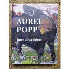 Dumitru Pacuraru - Aurel Popp. Intre doua culturi