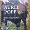 Dumitru Pacuraru - Aurel Popp. Intre doua culturi