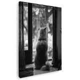 Tablou pisica cu spatele in pragul usii Tablou canvas pe panza CU RAMA 70x100 cm