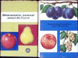 DETERMINATOR POMICOL SOIURI DE FRUCTE VOL.1-2-T. BORDEIANU, V. COCIU, GH. STANCIU-337280