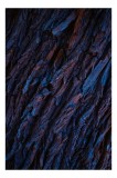 Tablou Canvas, "Texturi de scoarță &icirc;n penumbră albastră", Textură, Rugozitate, Ad&acirc;ncime, Contrast, Albastru, Natură, Scoarță, Mister, Organic, Păm&acirc;nte