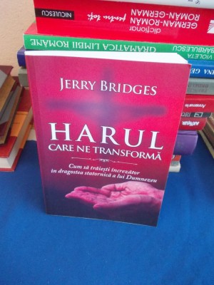 JERRY BRIDGES - HARUL CARE NE TRANSFORMA , ORADEA , 2017 * foto