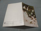 Cumpara ieftin CARTE POSTALA --FELICITARE NECIRCULATA