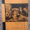 Ion Miclea - Goga la Ciucea