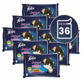 Cumpara ieftin FELIX Junior Fantastic pliculețe, selecție delicioasă &icirc;n gelatină 36 x 85 g