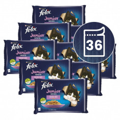 FELIX Junior Fantastic pliculețe, selecție delicioasă în gelatină 36 x 85 g