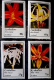 Eynhallow holy island flori, flora , orhidee flori , plante 4 v nestampilate, Nestampilat