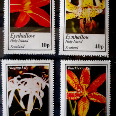 Eynhallow holy island flori, flora , orhidee , plante mnh