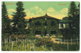 5606 - BUZIAS, Timis, Park, Romania - old postcard - used - 1911, Circulata, Printata