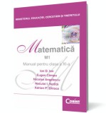 Matematica M1. Manual pentru clasa a XI-a