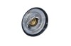 NRF 725096 EASY FIT termostat,lichid racire