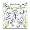 Armonie - carte de colorat, DPH