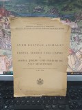 dr. M. vaida, Avem destule animale? Costul ținerii unei capre. Costul ținerii unei perechi de vaci muncitoare, București 1938, 200