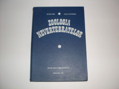 Zoologia Nevertebratelor - Valeria Fira, Maria Nastasescu ,550140 foto