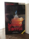 Suferintele tineretii - Gustave Flaubert